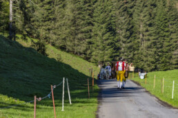 Alp, Alpaufzug, Alpen, Alpfahrt, Alps, Appenzell, Appenzell Ausserrohden, Brauchtum, Frühling, Hundwil, Ostschweiz, Schweiz, Sennen, Spring, Suisse, Switzerland, Tracht, Urnäsch, alps, tradition