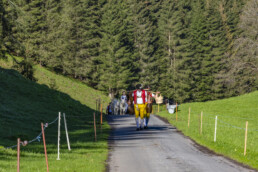 Alp, Alpaufzug, Alpen, Alpfahrt, Alps, Appenzell, Appenzell Ausserrohden, Brauchtum, Frühling, Hundwil, Ostschweiz, Schweiz, Sennen, Spring, Suisse, Switzerland, Tracht, Urnäsch, alps, tradition