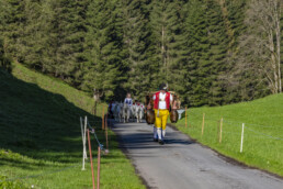 Alp, Alpaufzug, Alpen, Alpfahrt, Alps, Appenzell, Appenzell Ausserrohden, Brauchtum, Frühling, Hundwil, Ostschweiz, Schweiz, Sennen, Spring, Suisse, Switzerland, Tracht, Urnäsch, alps, tradition