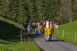 Alp, Alpaufzug, Alpen, Alpfahrt, Alps, Appenzell, Appenzell Ausserrohden, Brauchtum, Frühling, Hundwil, Ostschweiz, Schweiz, Sennen, Spring, Suisse, Switzerland, Tracht, Urnäsch, alps, tradition
