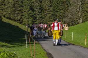 Alp, Alpaufzug, Alpen, Alpfahrt, Alps, Appenzell, Appenzell Ausserrohden, Brauchtum, Frühling, Hundwil, Ostschweiz, Schweiz, Sennen, Spring, Suisse, Switzerland, Tracht, Urnäsch, alps, tradition