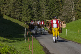 Alp, Alpaufzug, Alpen, Alpfahrt, Alps, Appenzell, Appenzell Ausserrohden, Brauchtum, Frühling, Hundwil, Ostschweiz, Schweiz, Sennen, Spring, Suisse, Switzerland, Tracht, Urnäsch, alps, tradition