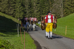 Alp, Alpaufzug, Alpen, Alpfahrt, Alps, Appenzell, Appenzell Ausserrohden, Brauchtum, Frühling, Hundwil, Ostschweiz, Schweiz, Sennen, Spring, Suisse, Switzerland, Tracht, Urnäsch, alps, tradition