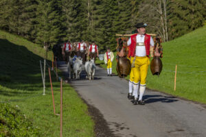 Alp, Alpaufzug, Alpen, Alpfahrt, Alps, Appenzell, Appenzell Ausserrohden, Brauchtum, Frühling, Hundwil, Ostschweiz, Schweiz, Sennen, Spring, Suisse, Switzerland, Tracht, Urnäsch, alps, tradition