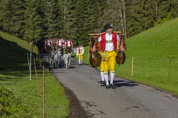 Alp, Alpaufzug, Alpen, Alpfahrt, Alps, Appenzell, Appenzell Ausserrohden, Brauchtum, Frühling, Hundwil, Ostschweiz, Schweiz, Sennen, Spring, Suisse, Switzerland, Tracht, Urnäsch, alps, tradition