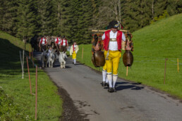 Alp, Alpaufzug, Alpen, Alpfahrt, Alps, Appenzell, Appenzell Ausserrohden, Brauchtum, Frühling, Hundwil, Ostschweiz, Schweiz, Sennen, Spring, Suisse, Switzerland, Tracht, Urnäsch, alps, tradition