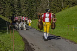 Alp, Alpaufzug, Alpen, Alpfahrt, Alps, Appenzell, Appenzell Ausserrohden, Brauchtum, Frühling, Hundwil, Ostschweiz, Schweiz, Sennen, Spring, Suisse, Switzerland, Tracht, Urnäsch, alps, tradition