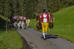 Alp, Alpaufzug, Alpen, Alpfahrt, Alps, Appenzell, Appenzell Ausserrohden, Brauchtum, Frühling, Hundwil, Ostschweiz, Schweiz, Sennen, Spring, Suisse, Switzerland, Tracht, Urnäsch, alps, tradition