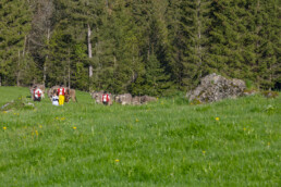 Alp, Alpaufzug, Alpen, Alpfahrt, Alps, Appenzell, Appenzell Ausserrohden, Brauchtum, Frühling, Hundwil, Ostschweiz, Schweiz, Sennen, Spring, Suisse, Switzerland, Tracht, Urnäsch, alps, tradition