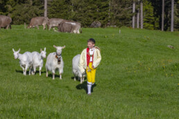 Alp, Alpaufzug, Alpen, Alpfahrt, Alps, Appenzell, Appenzell Ausserrohden, Brauchtum, Frühling, Hundwil, Ostschweiz, Schweiz, Sennen, Spring, Suisse, Switzerland, Tracht, Urnäsch, alps, tradition