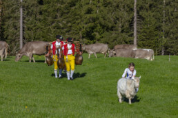 Alp, Alpaufzug, Alpen, Alpfahrt, Alps, Appenzell, Appenzell Ausserrohden, Brauchtum, Frühling, Hundwil, Ostschweiz, Schweiz, Sennen, Spring, Suisse, Switzerland, Tracht, Urnäsch, alps, tradition