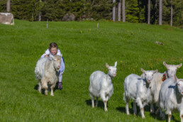 Alp, Alpaufzug, Alpen, Alpfahrt, Alps, Appenzell, Appenzell Ausserrohden, Brauchtum, Frühling, Hundwil, Ostschweiz, Schweiz, Sennen, Spring, Suisse, Switzerland, Tracht, Urnäsch, alps, tradition
