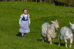 Alp, Alpaufzug, Alpen, Alpfahrt, Alps, Appenzell, Appenzell Ausserrohden, Brauchtum, Frühling, Hundwil, Ostschweiz, Schweiz, Sennen, Spring, Suisse, Switzerland, Tracht, Urnäsch, alps, tradition