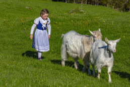 Alp, Alpaufzug, Alpen, Alpfahrt, Alps, Appenzell, Appenzell Ausserrohden, Brauchtum, Frühling, Hundwil, Ostschweiz, Schweiz, Sennen, Spring, Suisse, Switzerland, Tracht, Urnäsch, alps, tradition