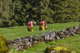 Alp, Alpaufzug, Alpen, Alpfahrt, Alps, Appenzell, Appenzell Ausserrohden, Brauchtum, Frühling, Hundwil, Ostschweiz, Schweiz, Sennen, Spring, Suisse, Switzerland, Tracht, Urnäsch, alps, tradition