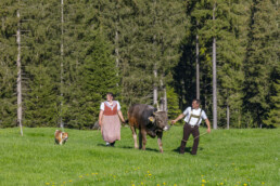 Alp, Alpaufzug, Alpen, Alpfahrt, Alps, Appenzell, Appenzell Ausserrohden, Brauchtum, Frühling, Hundwil, Ostschweiz, Schweiz, Sennen, Spring, Suisse, Switzerland, Tracht, Urnäsch, alps, tradition