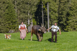 Alp, Alpaufzug, Alpen, Alpfahrt, Alps, Appenzell, Appenzell Ausserrohden, Brauchtum, Frühling, Hundwil, Ostschweiz, Schweiz, Sennen, Spring, Suisse, Switzerland, Tracht, Urnäsch, alps, tradition