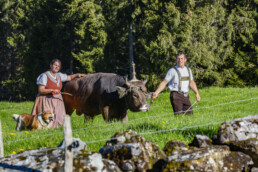 Alp, Alpaufzug, Alpen, Alpfahrt, Alps, Appenzell, Appenzell Ausserrohden, Brauchtum, Frühling, Hundwil, Ostschweiz, Schweiz, Sennen, Spring, Suisse, Switzerland, Tracht, Urnäsch, alps, tradition