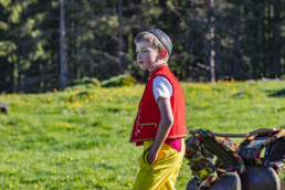 Alp, Alpaufzug, Alpen, Alpfahrt, Alps, Appenzell, Appenzell Ausserrohden, Brauchtum, Frühling, Hundwil, Ostschweiz, Schweiz, Sennen, Spring, Suisse, Switzerland, Tracht, Urnäsch, alps, tradition