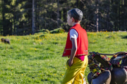 Alp, Alpaufzug, Alpen, Alpfahrt, Alps, Appenzell, Appenzell Ausserrohden, Brauchtum, Frühling, Hundwil, Ostschweiz, Schweiz, Sennen, Spring, Suisse, Switzerland, Tracht, Urnäsch, alps, tradition