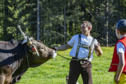 Alp, Alpaufzug, Alpen, Alpfahrt, Alps, Appenzell, Appenzell Ausserrohden, Brauchtum, Frühling, Hundwil, Ostschweiz, Schweiz, Sennen, Spring, Suisse, Switzerland, Tracht, Urnäsch, alps, tradition