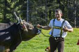 Alp, Alpaufzug, Alpen, Alpfahrt, Alps, Appenzell, Appenzell Ausserrohden, Brauchtum, Frühling, Hundwil, Ostschweiz, Schweiz, Sennen, Spring, Suisse, Switzerland, Tracht, Urnäsch, alps, tradition