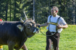 Alp, Alpaufzug, Alpen, Alpfahrt, Alps, Appenzell, Appenzell Ausserrohden, Brauchtum, Frühling, Hundwil, Ostschweiz, Schweiz, Sennen, Spring, Suisse, Switzerland, Tracht, Urnäsch, alps, tradition