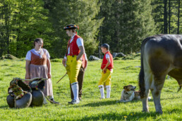 Alp, Alpaufzug, Alpen, Alpfahrt, Alps, Appenzell, Appenzell Ausserrohden, Brauchtum, Frühling, Hundwil, Ostschweiz, Schweiz, Sennen, Spring, Suisse, Switzerland, Tracht, Urnäsch, alps, tradition