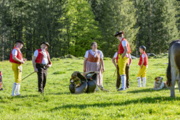 Alp, Alpaufzug, Alpen, Alpfahrt, Alps, Appenzell, Appenzell Ausserrohden, Brauchtum, Frühling, Hundwil, Ostschweiz, Schweiz, Sennen, Spring, Suisse, Switzerland, Tracht, Urnäsch, alps, tradition