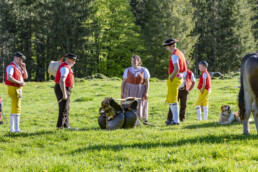 Alp, Alpaufzug, Alpen, Alpfahrt, Alps, Appenzell, Appenzell Ausserrohden, Brauchtum, Frühling, Hundwil, Ostschweiz, Schweiz, Sennen, Spring, Suisse, Switzerland, Tracht, Urnäsch, alps, tradition