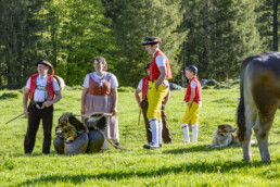 Alp, Alpaufzug, Alpen, Alpfahrt, Alps, Appenzell, Appenzell Ausserrohden, Brauchtum, Frühling, Hundwil, Ostschweiz, Schweiz, Sennen, Spring, Suisse, Switzerland, Tracht, Urnäsch, alps, tradition