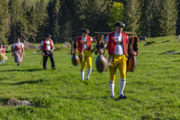 Alp, Alpaufzug, Alpen, Alpfahrt, Alps, Appenzell, Appenzell Ausserrohden, Brauchtum, Frühling, Hundwil, Ostschweiz, Schweiz, Sennen, Spring, Suisse, Switzerland, Tracht, Urnäsch, alps, tradition