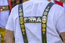 Alp, Alpaufzug, Alpen, Alpfahrt, Alps, Appenzell, Appenzell Ausserrohden, Brauchtum, Frühling, Hundwil, Ostschweiz, Schweiz, Sennen, Spring, Suisse, Switzerland, Tracht, Urnäsch, alps, tradition