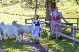 Alp, Alpaufzug, Alpen, Alpfahrt, Alps, Appenzell, Appenzell Ausserrohden, Brauchtum, Frühling, Hundwil, Ostschweiz, Schweiz, Sennen, Spring, Suisse, Switzerland, Tracht, Urnäsch, alps, tradition