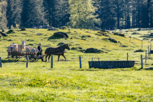 Alp, Alpaufzug, Alpen, Alpfahrt, Alps, Appenzell, Appenzell Ausserrohden, Brauchtum, Frühling, Hundwil, Ostschweiz, Schweiz, Sennen, Spring, Suisse, Switzerland, Tracht, Urnäsch, alps, tradition