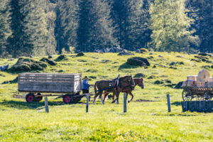 Alp, Alpaufzug, Alpen, Alpfahrt, Alps, Appenzell, Appenzell Ausserrohden, Brauchtum, Frühling, Hundwil, Ostschweiz, Schweiz, Sennen, Spring, Suisse, Switzerland, Tracht, Urnäsch, alps, tradition