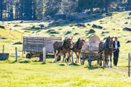 Alp, Alpaufzug, Alpen, Alpfahrt, Alps, Appenzell, Appenzell Ausserrohden, Brauchtum, Frühling, Hundwil, Ostschweiz, Schweiz, Sennen, Spring, Suisse, Switzerland, Tracht, Urnäsch, alps, tradition