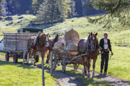 Alp, Alpaufzug, Alpen, Alpfahrt, Alps, Appenzell, Appenzell Ausserrohden, Brauchtum, Frühling, Hundwil, Ostschweiz, Schweiz, Sennen, Spring, Suisse, Switzerland, Tracht, Urnäsch, alps, tradition