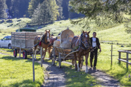 Alp, Alpaufzug, Alpen, Alpfahrt, Alps, Appenzell, Appenzell Ausserrohden, Brauchtum, Frühling, Hundwil, Ostschweiz, Schweiz, Sennen, Spring, Suisse, Switzerland, Tracht, Urnäsch, alps, tradition