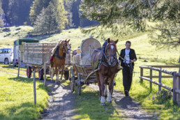 Alp, Alpaufzug, Alpen, Alpfahrt, Alps, Appenzell, Appenzell Ausserrohden, Brauchtum, Frühling, Hundwil, Ostschweiz, Schweiz, Sennen, Spring, Suisse, Switzerland, Tracht, Urnäsch, alps, tradition