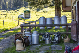 Alp, Alpaufzug, Alpen, Alpfahrt, Alps, Appenzell, Appenzell Ausserrohden, Brauchtum, Frühling, Hundwil, Ostschweiz, Schweiz, Sennen, Spring, Suisse, Switzerland, Tracht, Urnäsch, alps, tradition