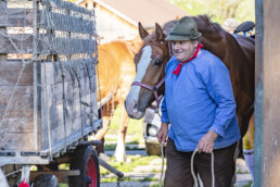 Alp, Alpaufzug, Alpen, Alpfahrt, Alps, Appenzell, Appenzell Ausserrohden, Brauchtum, Frühling, Hundwil, Ostschweiz, Schweiz, Sennen, Spring, Suisse, Switzerland, Tracht, Urnäsch, alps, tradition