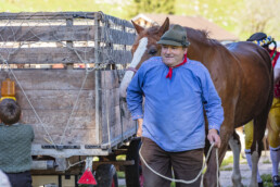 Alp, Alpaufzug, Alpen, Alpfahrt, Alps, Appenzell, Appenzell Ausserrohden, Brauchtum, Frühling, Hundwil, Ostschweiz, Schweiz, Sennen, Spring, Suisse, Switzerland, Tracht, Urnäsch, alps, tradition