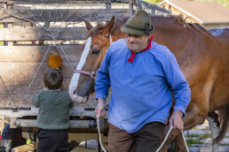 Alp, Alpaufzug, Alpen, Alpfahrt, Alps, Appenzell, Appenzell Ausserrohden, Brauchtum, Frühling, Hundwil, Ostschweiz, Schweiz, Sennen, Spring, Suisse, Switzerland, Tracht, Urnäsch, alps, tradition