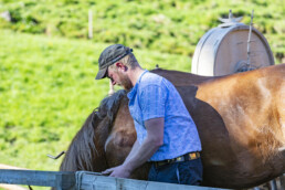 Alp, Alpaufzug, Alpen, Alpfahrt, Alps, Appenzell, Appenzell Ausserrohden, Brauchtum, Frühling, Hundwil, Ostschweiz, Schweiz, Sennen, Spring, Suisse, Switzerland, Tracht, Urnäsch, alps, tradition