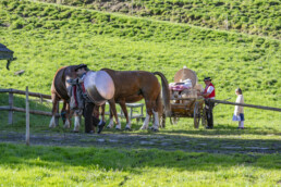 Alp, Alpaufzug, Alpen, Alpfahrt, Alps, Appenzell, Appenzell Ausserrohden, Brauchtum, Frühling, Hundwil, Ostschweiz, Schweiz, Sennen, Spring, Suisse, Switzerland, Tracht, Urnäsch, alps, tradition