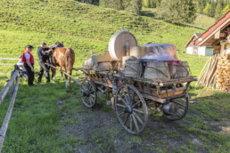 Alp, Alpaufzug, Alpen, Alpfahrt, Alps, Appenzell, Appenzell Ausserrohden, Brauchtum, Frühling, Hundwil, Ostschweiz, Schweiz, Sennen, Spring, Suisse, Switzerland, Tracht, Urnäsch, alps, tradition