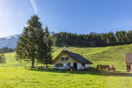 Alp, Alpaufzug, Alpen, Alpfahrt, Alps, Appenzell, Appenzell Ausserrohden, Brauchtum, Frühling, Haus, Hundwil, Hütte, Ostschweiz, Schweiz, Sennen, Spring, Suisse, Switzerland, Säntis, Tracht, Urnäsch, alps, tradition