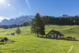 Alp, Alpaufzug, Alpen, Alpfahrt, Alps, Appenzell, Appenzell Ausserrohden, Brauchtum, Frühling, Haus, Hundwil, Hütte, Ostschweiz, Schweiz, Sennen, Spring, Suisse, Switzerland, Säntis, Tracht, Urnäsch, alps, tradition
