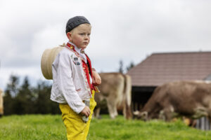 Alp, Alpaufzug, Alpen, Alpfahrt, Alps, Appenzell, Appenzell Ausserrohden, Appenzeller Hinterland, Brauchtum, Frühling, Landwirtschaft, Ostschweiz, Schweiz, Sennen, Spring, Suisse, Switzerland, Tracht, Urnäsch, Wirtschaft, alps, Öberefahre